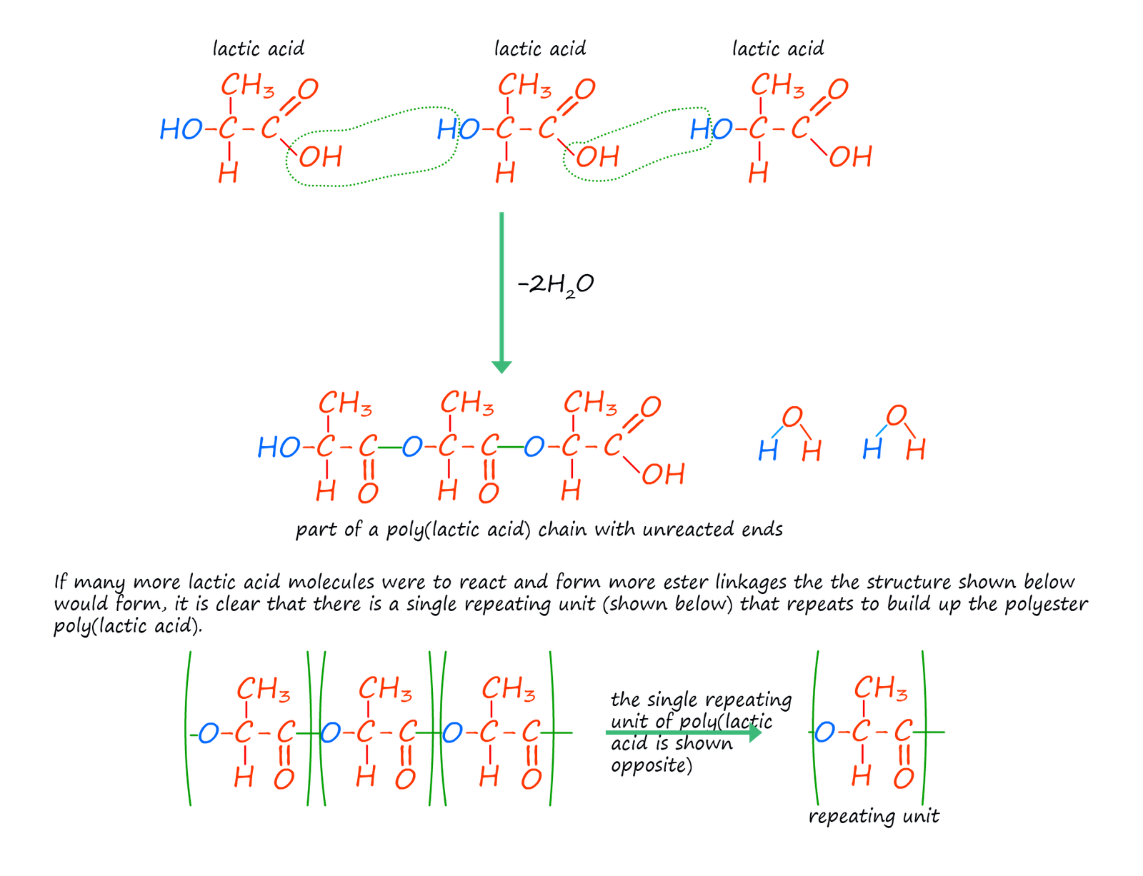 formation of poly(lactic acid) from lactic acid molecules